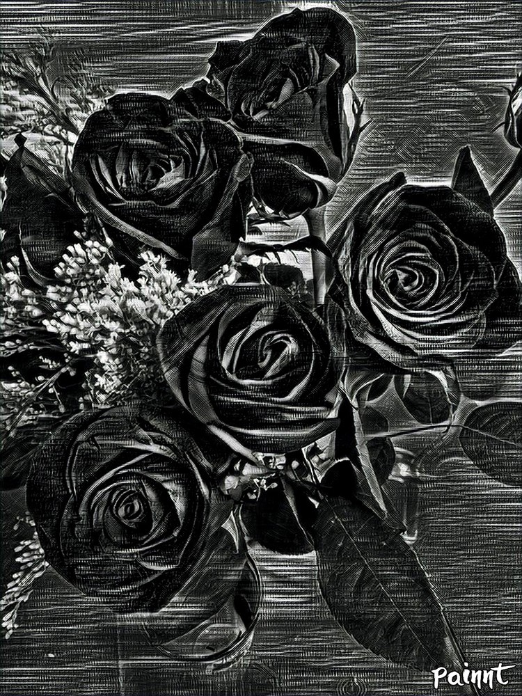 Moonlighting - Las rosas aún negras son hermosas